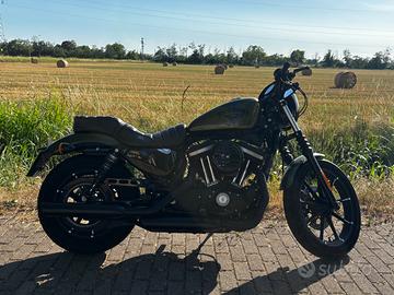 Harley Davidson 883 Iron N