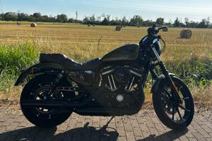 Harley Davidson 883 Iron N
