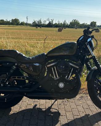 Harley Davidson 883 Iron N