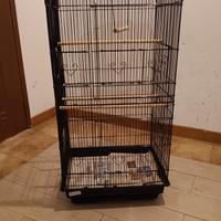 gabbietta uccellini seminuova