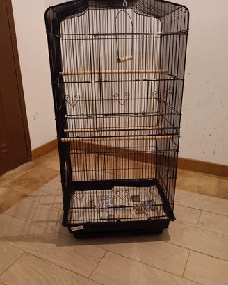 gabbietta uccellini seminuova