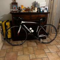 bici da corsa moser carbonio