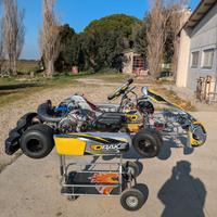 Kart 125 a marce Zanardi con motore Modena KK1