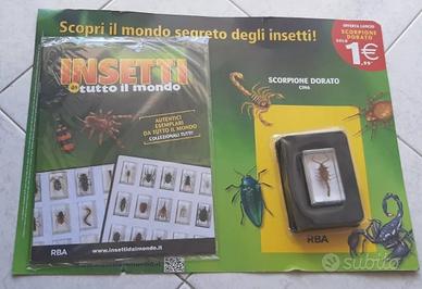 insetti da Tutto il mondo - 1 uscita scorpione dor