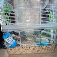 Criceti inclusi accessori