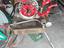 Immagine 5