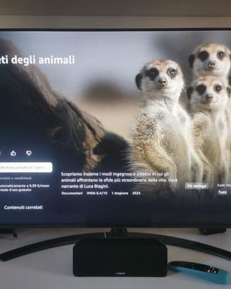 TV smart LG nanocell 55 pollici