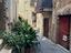 Immagine 14