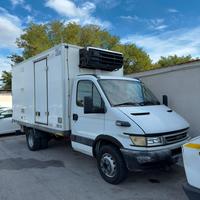 Iveco daily 60 frigo atp ok 3.0 diesel patente C