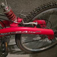 Mountain bike ragazzo 