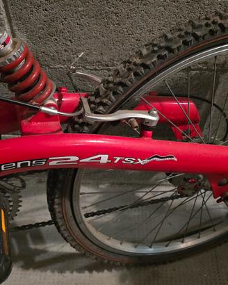 Mountain bike ragazzo 