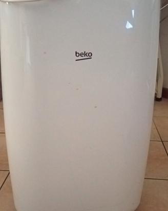 climatizzatore portatile
