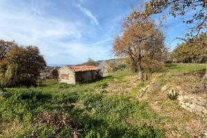 RUSTICO A BUONVICINO