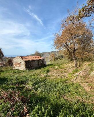RUSTICO A BUONVICINO
