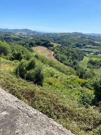Villa di 600 m² con più di 5 locali a Palaia
