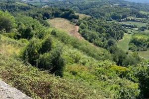 Villa di 600 m² con più di 5 locali a Palaia