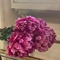 5 fiori finti Chrysanthemum 'Bigoudi'