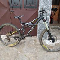 Specialized enduro evo