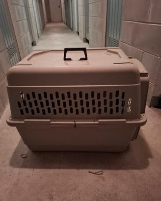Kennel 