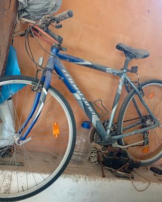 Bicicletta Montana x cross