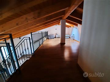 Appartamenti e piantagioni kiwi