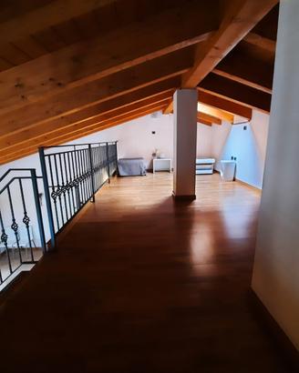 Appartamenti e piantagioni kiwi