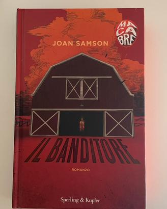 Il banditore - Joan Samson