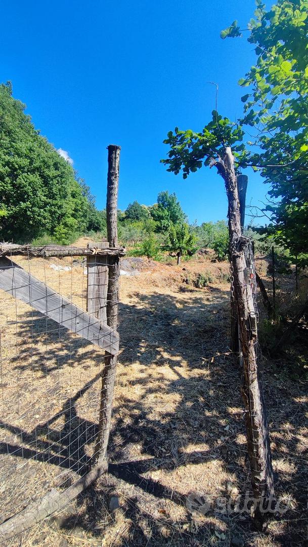 Terreno agricolo - Sant'Alfio - Altro