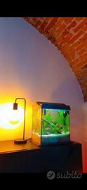 Acquario 40 litri + accessori