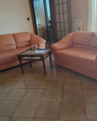 Coppia di divani