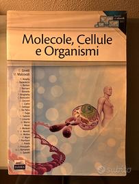 Molecole, Cellule e Organismi