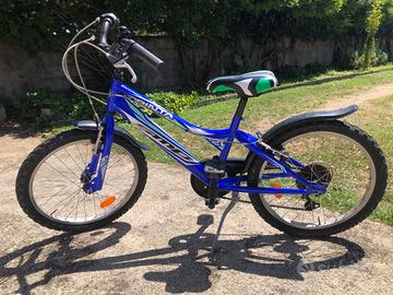Bicicletta ragazzo cerchi D20 