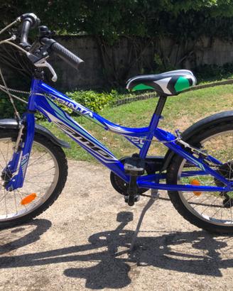 Bicicletta ragazzo cerchi D20 