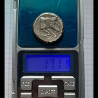 Tetradrachma Gela (Sicilia) – Rara moneta antica