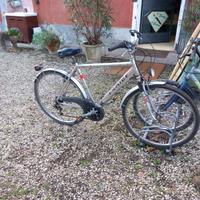 bicicletta cyti bike da uomo 