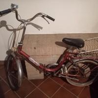 bici colibrì pieghevole