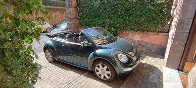 New beetle