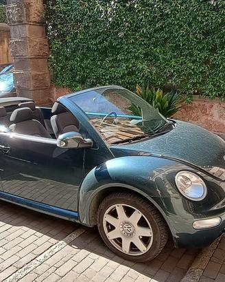 New beetle