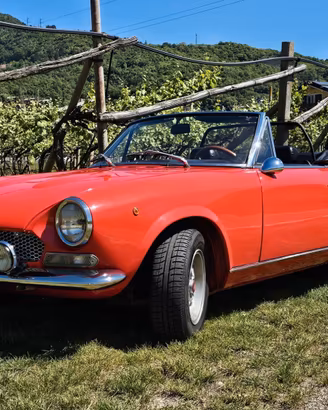 FIAT 124 SPORT SPIDER BS1 1972