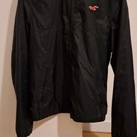 Giacca Hollister