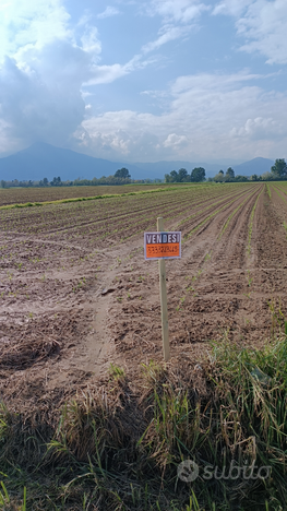 Terreni agricoli a Cumiana
