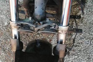 Forcella T  Max