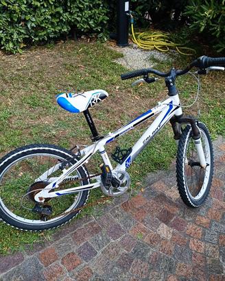 bicicletta bambino 