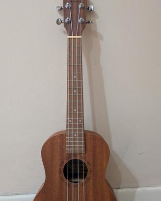 Ukulele Hricane da concerto con custodia 