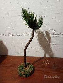 mini palma per presepe