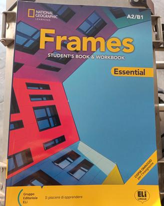 libro inglese Frames