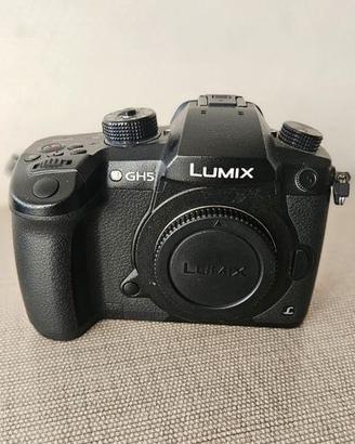 Panasonic Lumix GH5
