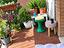 Immagine 14