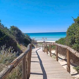 Gallipoli. Mancaversa