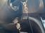 Immagine 11